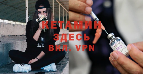 дмт Бородино