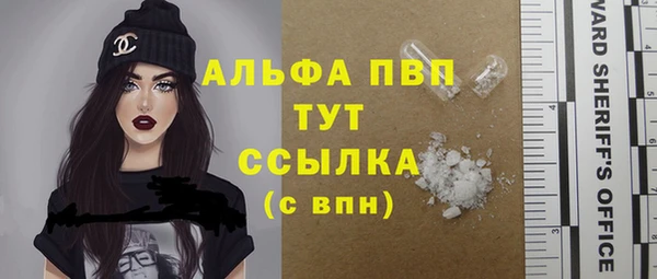 дмт Бородино