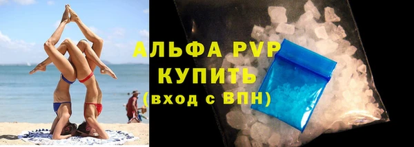 дмт Бородино