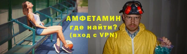 дмт Бородино