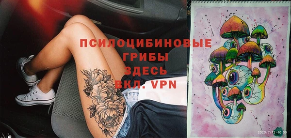 дмт Бородино