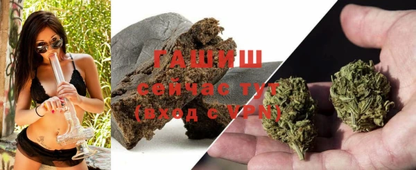 дмт Бородино