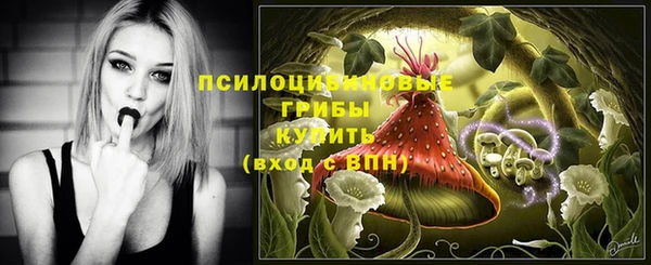 дживик Бугульма