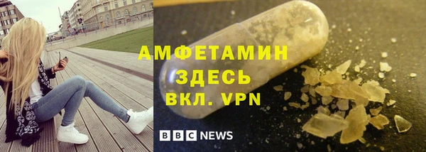 дмт Бородино