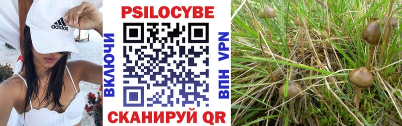 Псилоцибиновые грибы GOLDEN TEACHER  Шумиха 